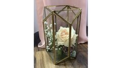 Terrarium 10.5 Inch Gold and Glass Octagon